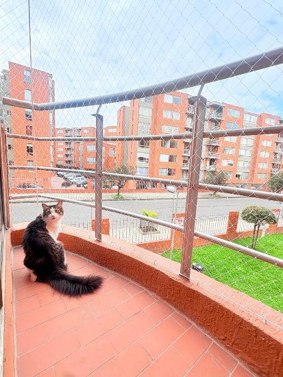 Gato en un balcon curvo cerrado con malla de seguridad