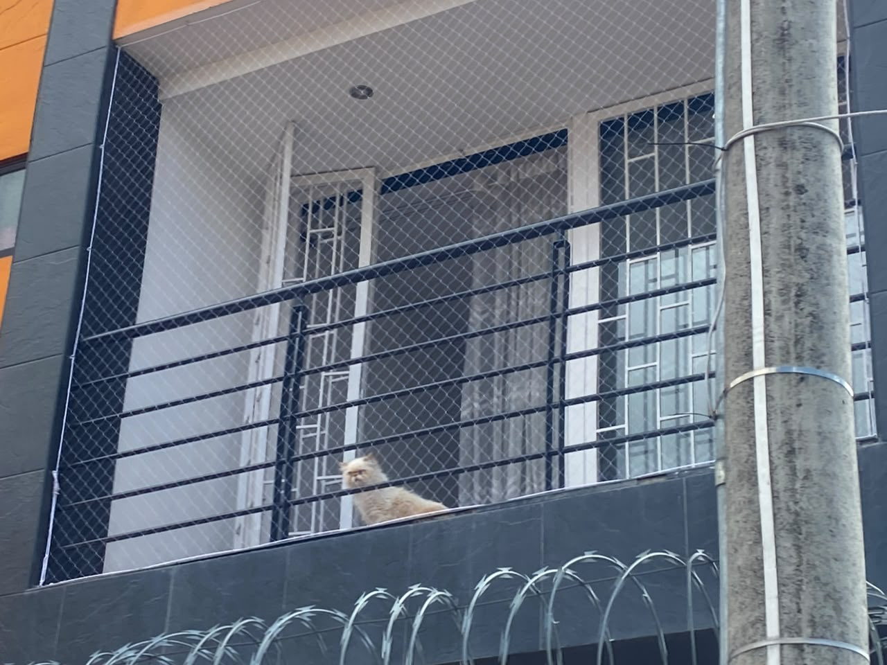 Fachada de edificio con balcon totalmente cubierto por malla de seguridad