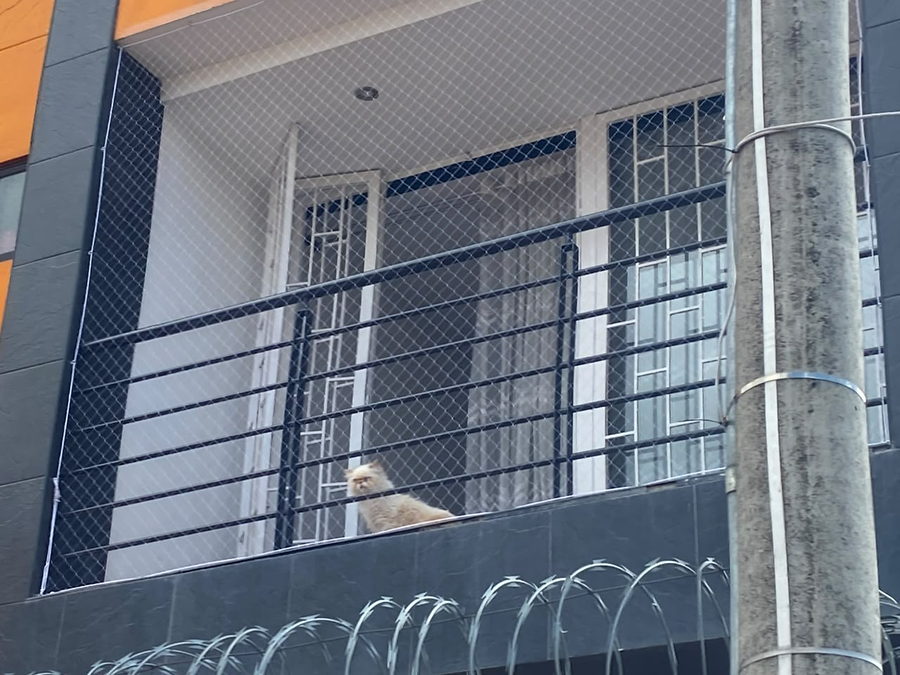 Fachada de edificio con balcón totalmente cubierto por malla de seguridad