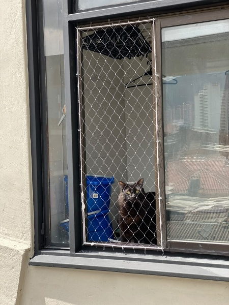 Ventana de apartamento con malla de seguridad instalada por el exterior
